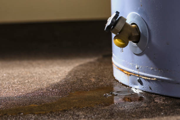 Best Local water damage restoration  in Dahlone, GA