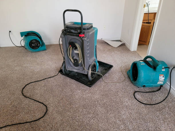Best Sewage cleanup and water damage restoration  in Dahlone, GA