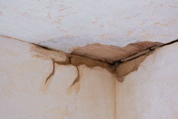Best Emergency water damage restoration  in Dahlone, GA