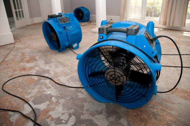 Best Water damage contractors near me  in Dahlone, GA