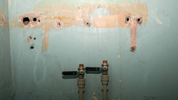 Best Flooded house restoration  in Dahlone, GA