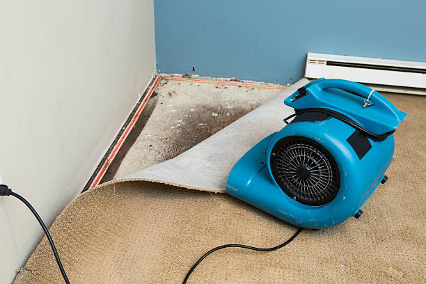 Best Emergency water damage restoration  in Dahlone, GA